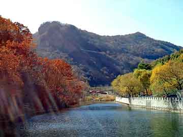 niaolibieguan