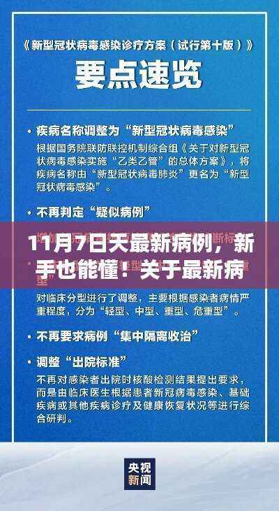 最新病例详细步骤指南，新冠疫情应对指南（新手也能懂）