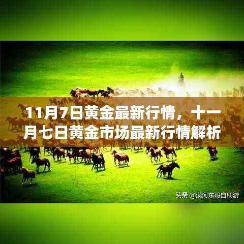 11月7日黄金行情解析，洞悉市场最新动态，黄金投资新动向揭秘！