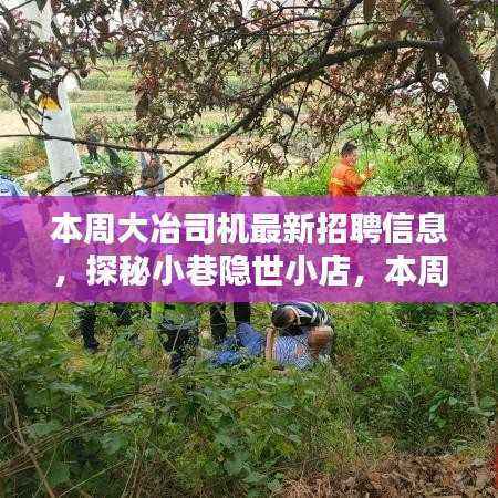 张牙舞爪 第36页