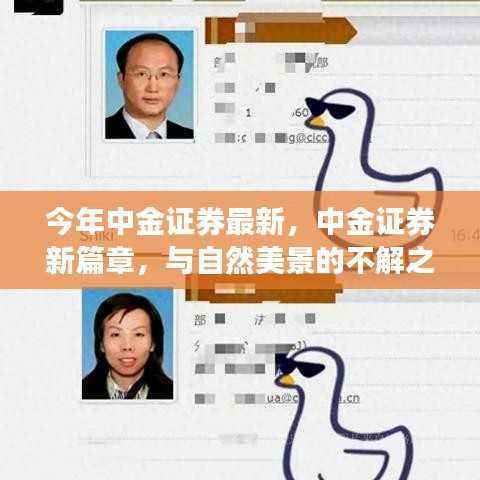admin 第7页