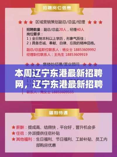 辽宁东港最新智能招聘科技革新,照亮未来求职路本周招聘网亮点解析
