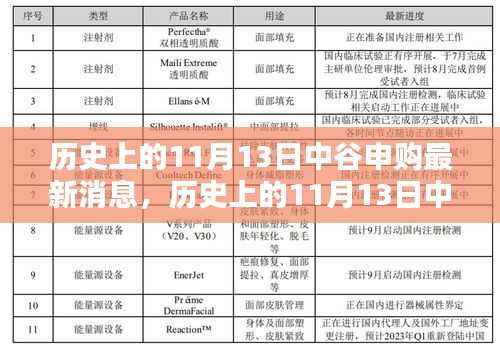 历史上的11月13日中谷申购揭秘,科技新星重塑未来生活体验的最新消息