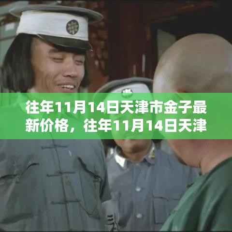 往年11月14日天津市金子价格回顾与趋势分析，最新价格及展望