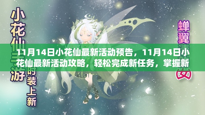 11月14日小花仙最新活动攻略预告,轻松掌握新任务与技能