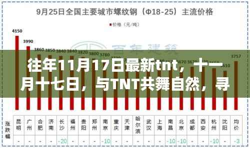 十一月十七日TNT之旅，与自然共舞，探寻宁静港湾的奥秘