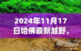 跃动哈佛,2024年11月17日新越野之旅的自信与成就感