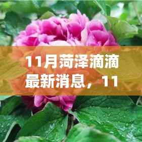 11月菏泽滴滴新动态,变化中的学习之旅,成就感的源泉