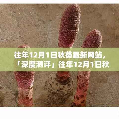 往年12月1日秋葵最新网站，「深度测评」往年12月1日秋葵最新网站，特性解析、用户体验、竞品对比及目标用户群体分析