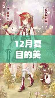 夏目的美丽日记最新评测与深度体验，全面分析与下载指南（12月版）