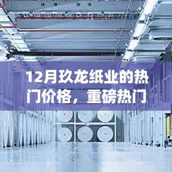 揭秘12月玖龙纸业最新行情与热门价格走势