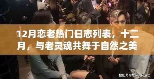 十二月恋老热门日志旅行清单，与自然之美共舞的老灵魂之旅