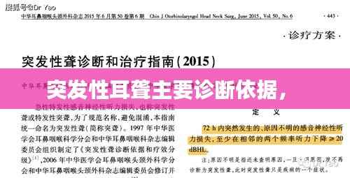 突发性耳聋主要诊断依据,