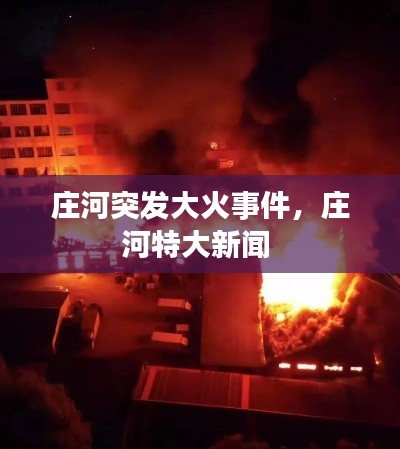 庄河突发大火事件,庄河特大新闻