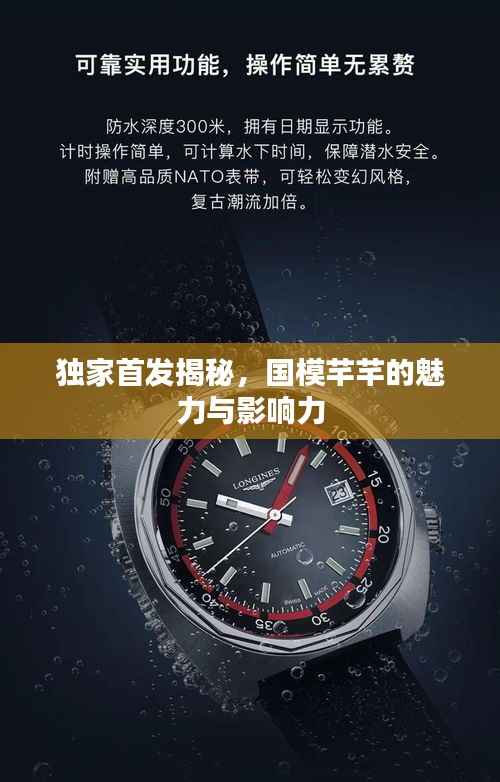 独家首发揭秘,国模芊芊的魅力与影响力