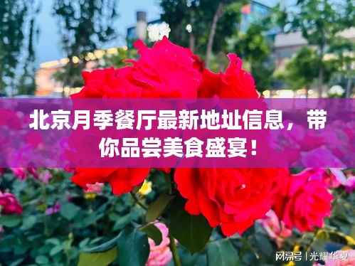 北京月季餐厅最新地址信息,带你品尝美食盛宴!