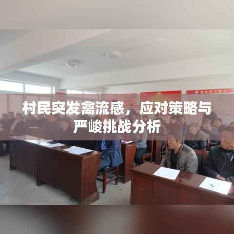 村民突发禽流感,应对策略与严峻挑战分析