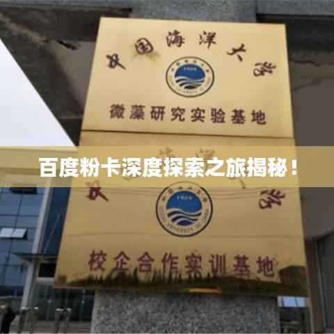 百度粉卡深度探索之旅揭秘!