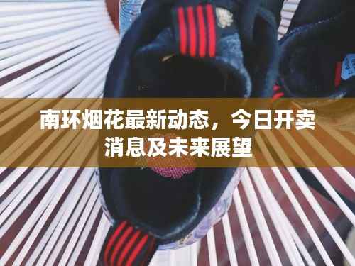 南环烟花最新动态,今日开卖消息及未来展望