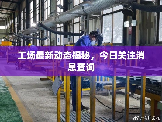工场最新动态揭秘,今日关注消息查询