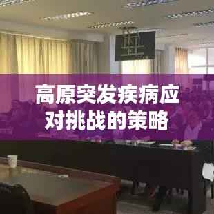 高原突发疾病应对挑战的策略