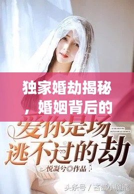独家婚劫揭秘，婚姻背后的秘密纷争与纷争txt下载