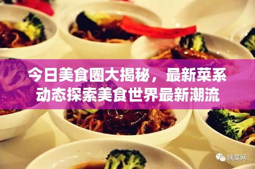 今日美食圈大揭秘，最新菜系动态探索美食世界最新潮流