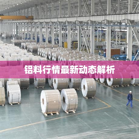 铝料行情最新动态解析