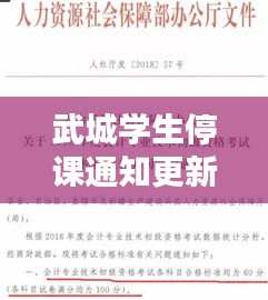 武城学生停课通知更新，最新公告及影响分析
