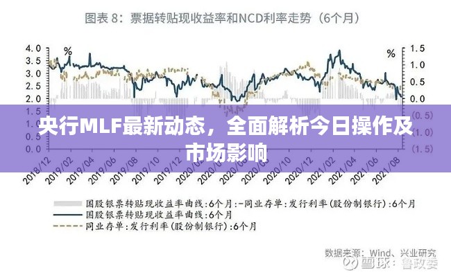央行MLF最新动态,全面解析今日操作及市场影响