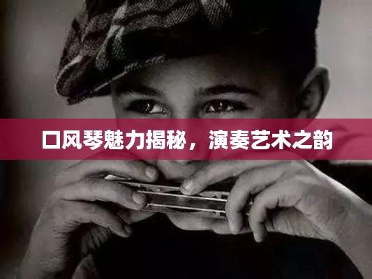 口风琴魅力揭秘,演奏艺术之韵