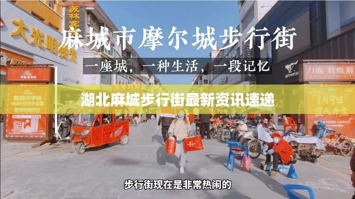 刬旧谋新